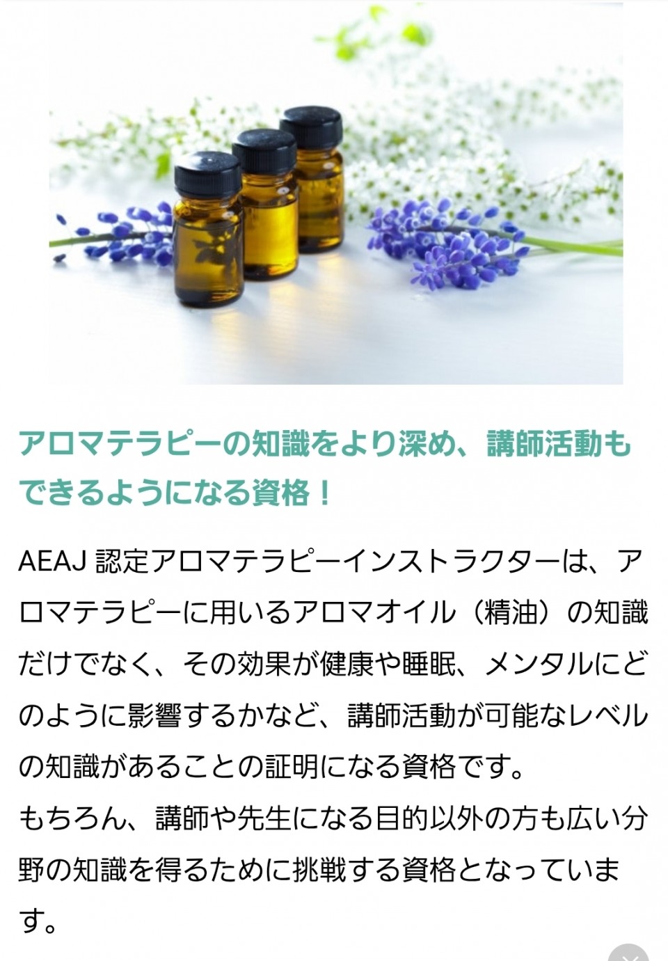 アップロード画像