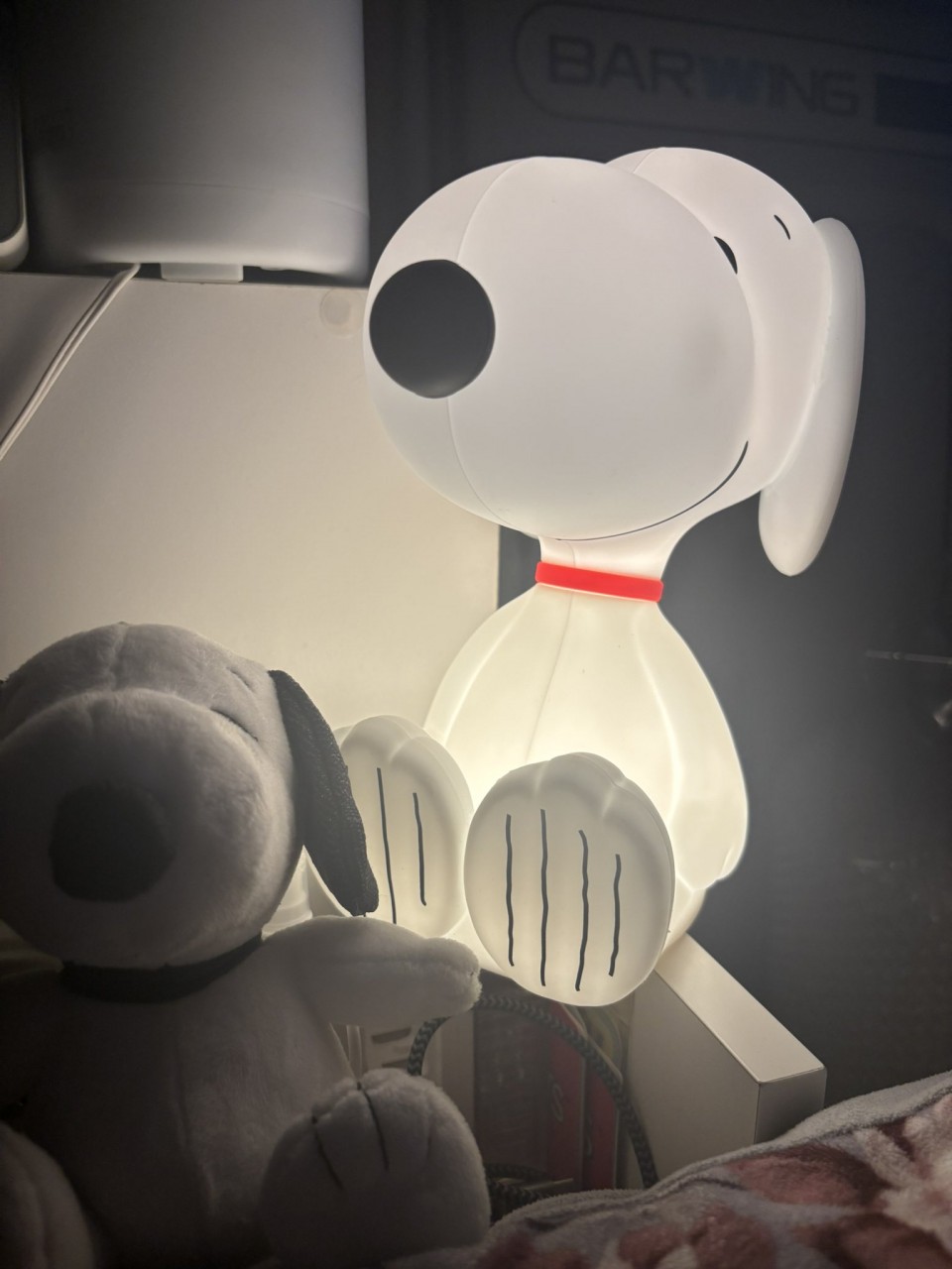 アップロード画像