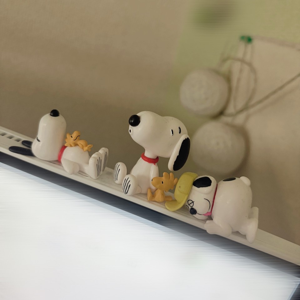 アップロード画像