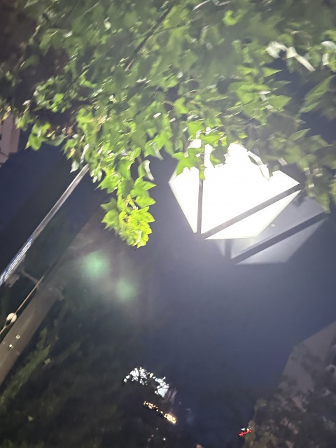 写メ