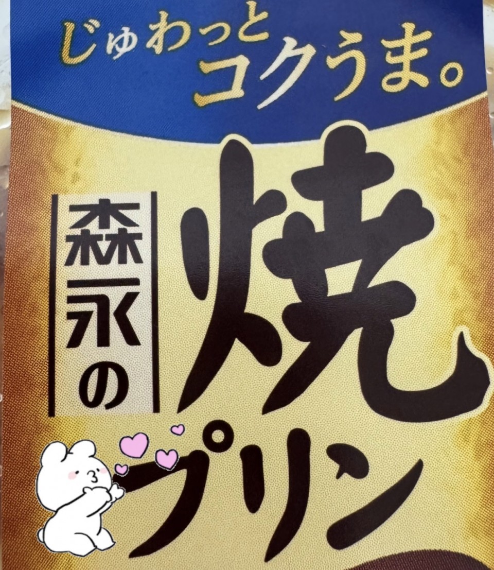 アップロード画像