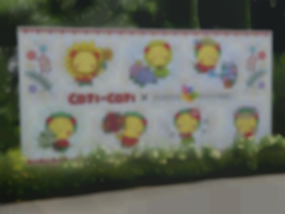 写メ日記の画像