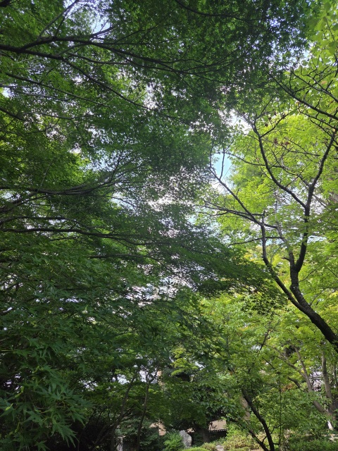 写メ