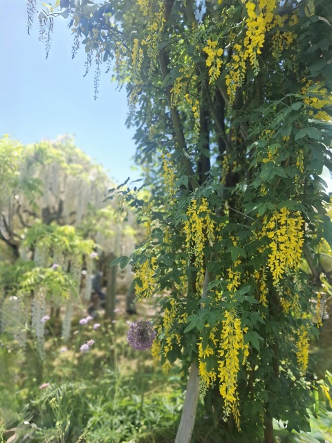 写メ
