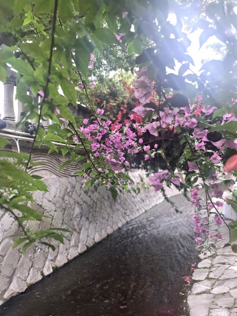 写メ