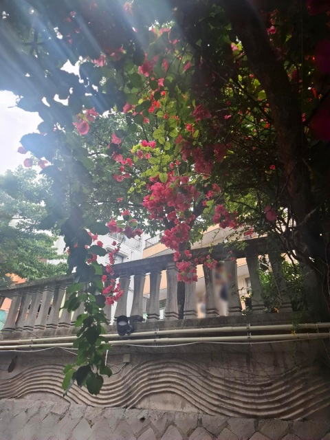 写メ