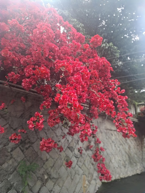 写メ