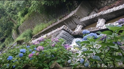 写メ