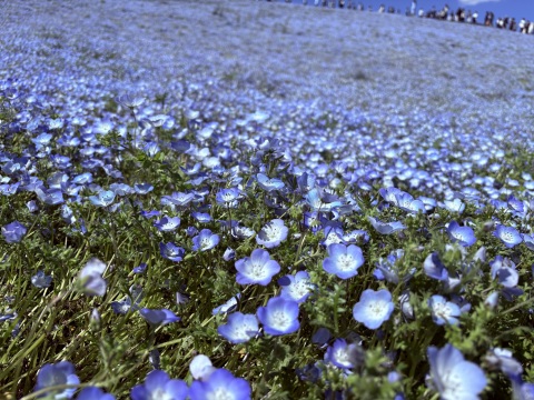 写メ