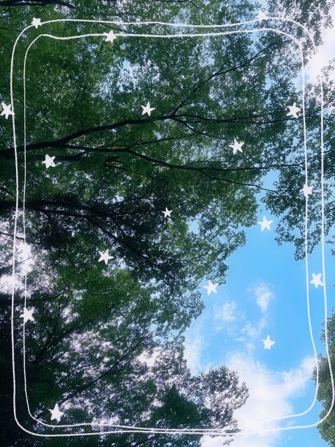 写メ