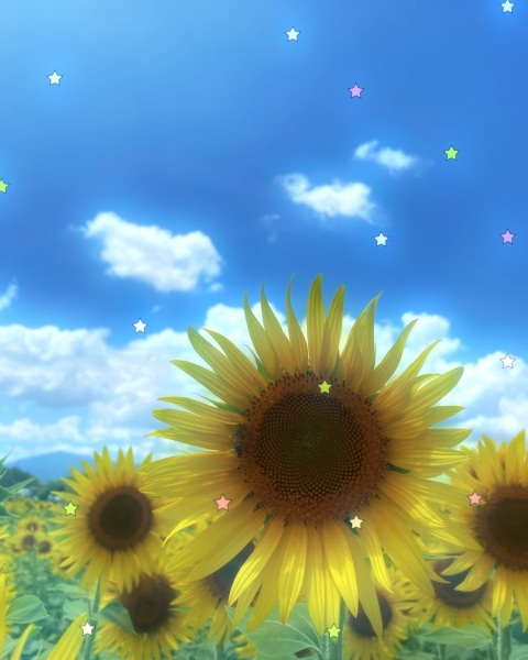 写メ