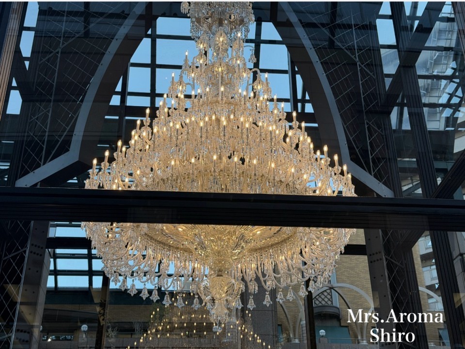 アップロード画像