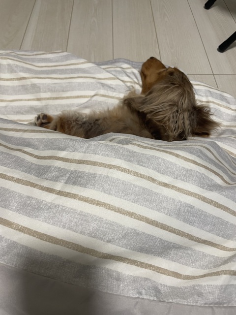 写メ